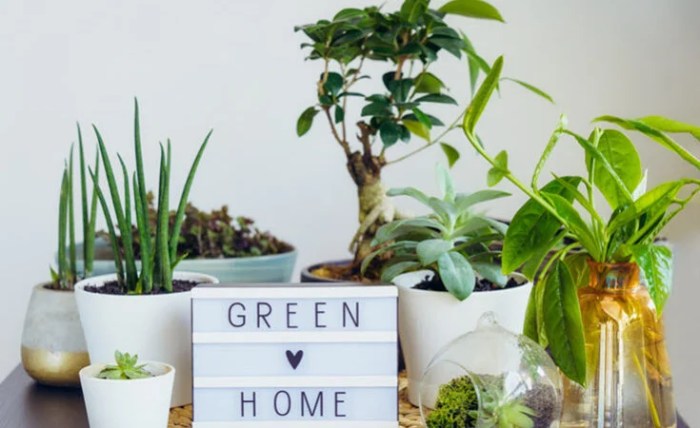 Sustainable Living - 10 Best Eco Friendly Home Decor Products Sustainable Living - 10 Best Eco Friendly Home Decor Products