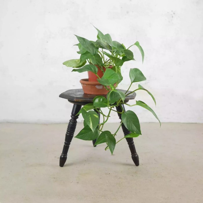 10 beautiful indoor plant stands//wooden stands//garden aesthetic//GSKLibrary,🏡🧚🧚🌻🏝️ - YouTube